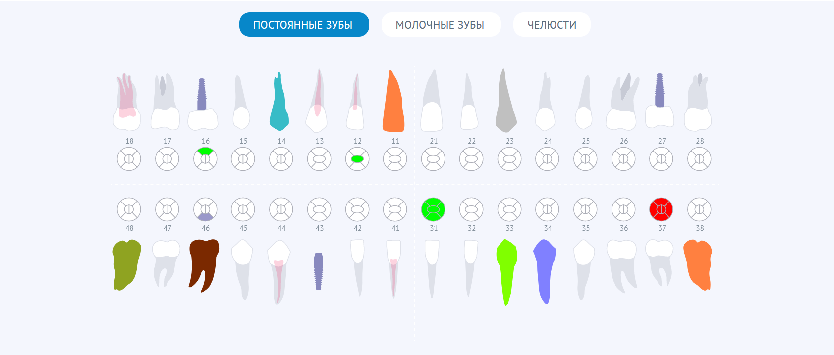 зубная формула постоянные зубы